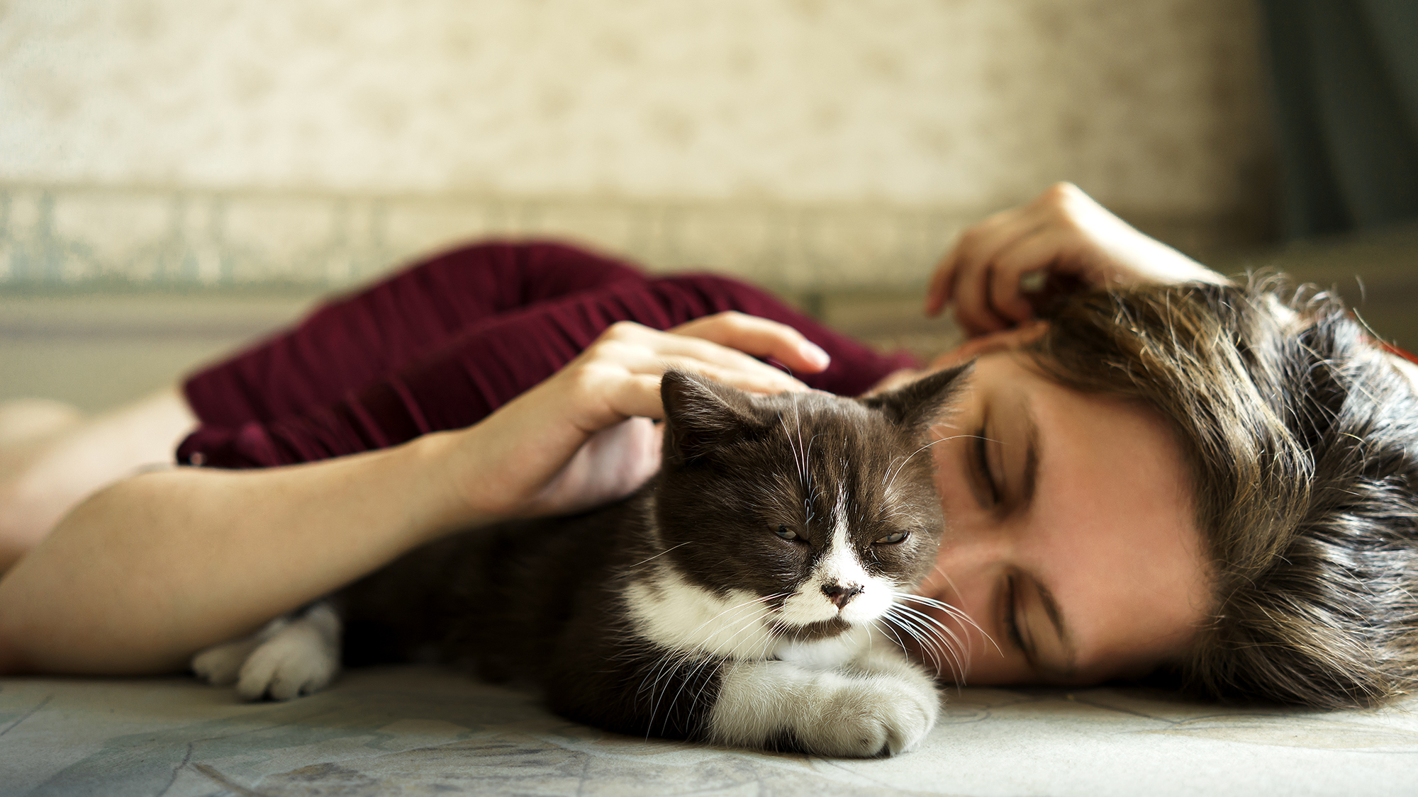 Mädchen streichelt Katze