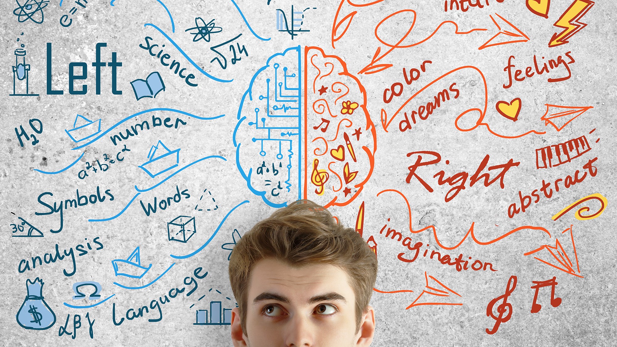 Schematische Abbildung eines Gehirns mit englischsprachigen Wörter